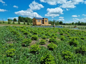 Tiny house Vánoční vyhlídka, Osečnice